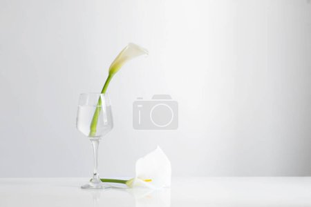 Photo for Calla flowers in glass on white background - Royalty Free Image