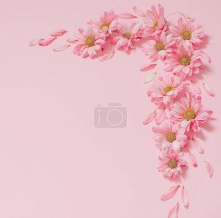 Foto de Flores rosadas sobre fondo rosa - Imagen libre de derechos
