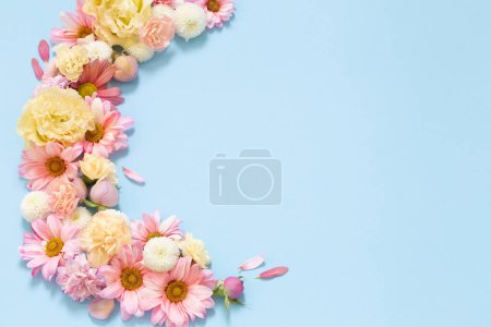 Téléchargez les photos : Belles fleurs sur fond bleu - en image libre de droit