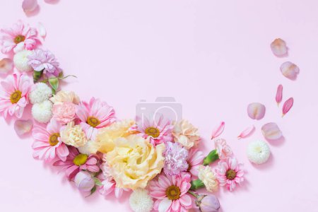 Téléchargez les photos : Belles fleurs sur fond rose - en image libre de droit