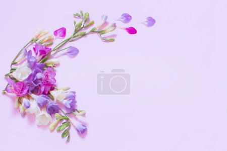 Téléchargez les photos : Belles fleurs freesia sur fond rose - en image libre de droit