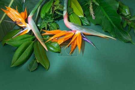 Foto de Flores exóticas tropicales y hojas sobre fondo verde - Imagen libre de derechos