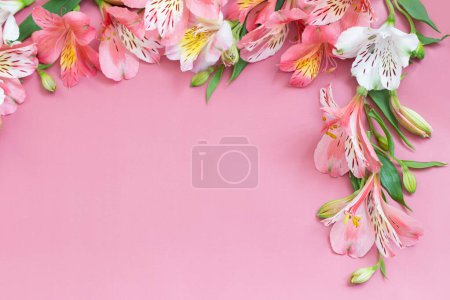 Photo for Alstroemeria flowers on pink background - Royalty Free Image