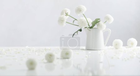 Photo for White chrysanthemums in jug on white background - Royalty Free Image