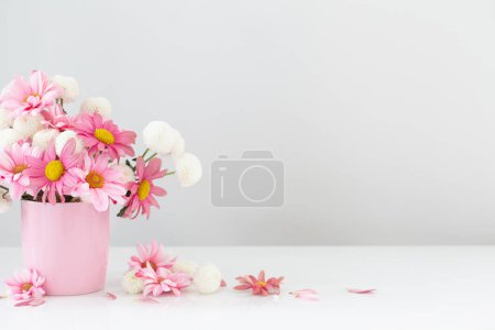 Téléchargez les photos : Chrysanthèmes blancs et roses en vase rose sur fond blanc - en image libre de droit