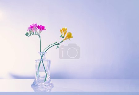 Téléchargez les photos : Freesia dans un vase en verre sur fond bleu - en image libre de droit