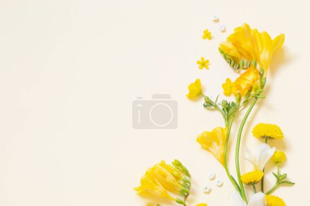 Téléchargez les photos : Fleurs jaunes sur fond de papier jaune - en image libre de droit