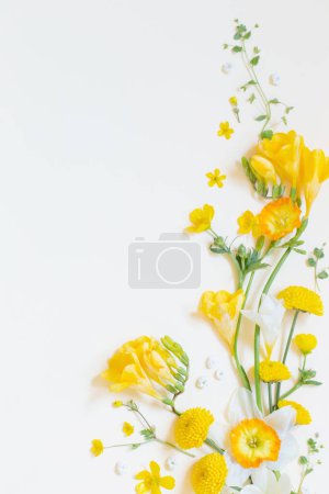 Photo for Yellow flowers  on yellow paper background - Royalty Free Image
