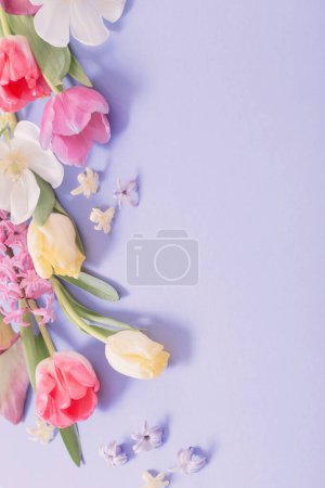 Photo for Multicolored spring flowers on  purple background - Royalty Free Image