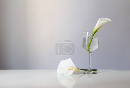Téléchargez les photos : Fleurs de calla en verre sur fond blanc - en image libre de droit