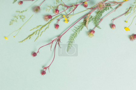 Photo for Different  wild flowers on paper background - Royalty Free Image