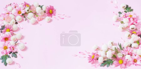 Photo for Pink  and white chrysanthemums on pink background  background - Royalty Free Image