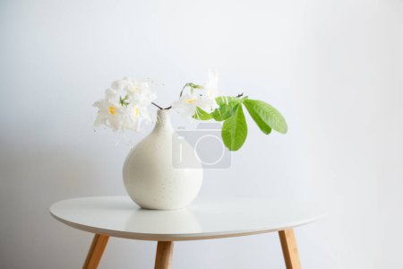Téléchargez les photos : Rhododendrom blanc dans un vase sur fond blanc - en image libre de droit