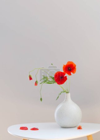 Photo for Red poppies in vase on white background - Royalty Free Image
