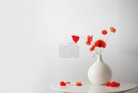 Téléchargez les photos : Coquelicots rouges dans un vase sur fond blanc - en image libre de droit