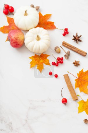 Photo for Autumn natural decor on white marble background - Royalty Free Image