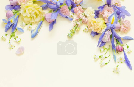 Téléchargez les photos : Belles fleurs printanières sur fond pastel - en image libre de droit