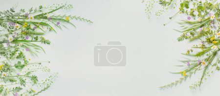Foto de Hierba silvestre y flores sobre fondo de papel verde - Imagen libre de derechos