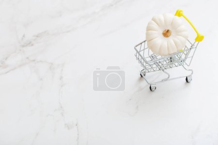 Téléchargez les photos : Citrouille blanche dans un petit chariot d'épicerie sur fond de marbre - en image libre de droit