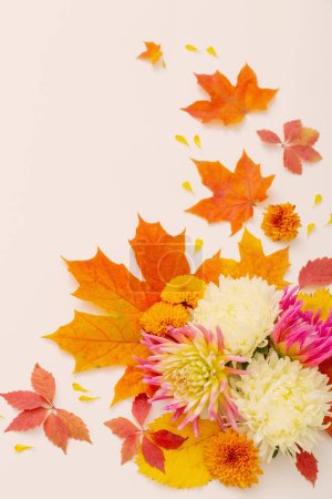 Téléchargez les photos : Feuilles et fleurs d'automne composition sur fond blanc - en image libre de droit