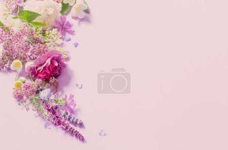 Téléchargez les photos : Belles fleurs d'été sur fond violet clair - en image libre de droit