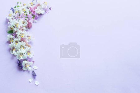 Foto de Flores blancas y moradas sobre fondo de papel morado - Imagen libre de derechos