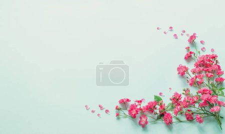 Téléchargez les photos : Roses roses sur fond papier bleu - en image libre de droit