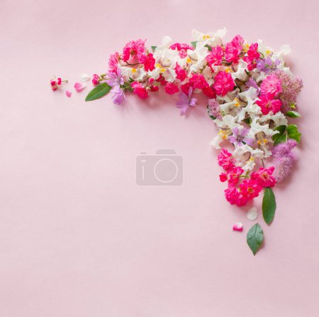Foto de Flores de color rosa y blanco sobre fondo de papel rosa - Imagen libre de derechos