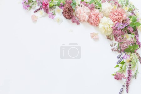 Photo for Beautiful summer flowers on white background - Royalty Free Image