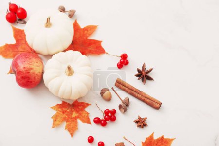 Téléchargez les photos : Décor naturel d'automne sur fond de marbre blanc - en image libre de droit