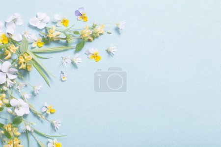 Foto de Flores silvestres sobre fondo de papel - Imagen libre de derechos