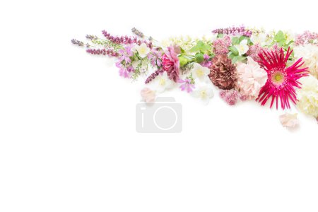 Photo for Beautiful summer flowers on white background - Royalty Free Image