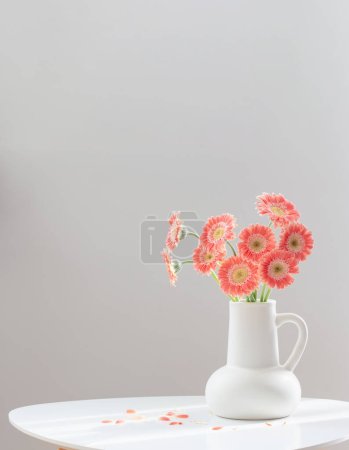 Photo for Pink gerber in white jug on white table - Royalty Free Image