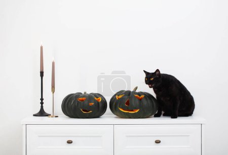 Photo for Black halloween pumpkin and black cat  in white interior - Royalty Free Image