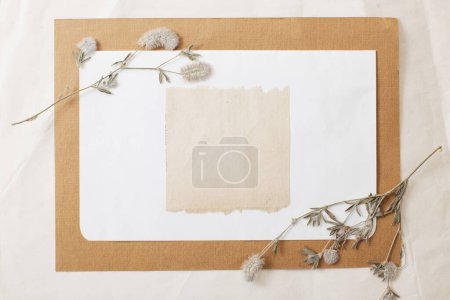 Foto de Composición vintage de plantas secas y hojas viejas de papel - Imagen libre de derechos