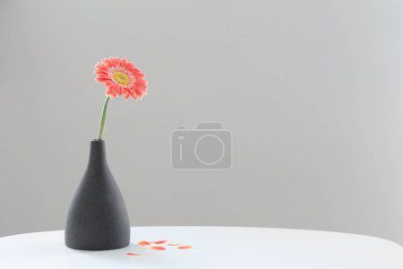 Foto de Gerber rosa en jarrón gris sobre mesa blanca sobre pared gris de fondo - Imagen libre de derechos