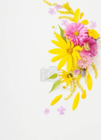 Foto de Flores amarillas y rosadas sobre fondo blanco - Imagen libre de derechos