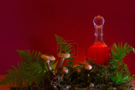 Foto de Poción roja mágica en botella en el bosque - Imagen libre de derechos