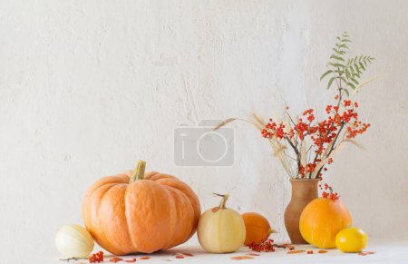 Photo for Still life with pumpkins and rowan branches on  wooden table - Royalty Free Image