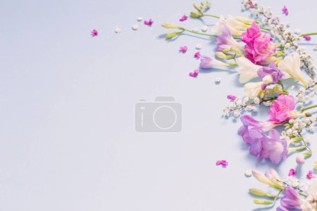 Téléchargez les photos : Printemps belles fleurs sur fond bleu - en image libre de droit