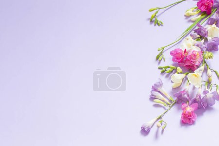 Photo for Pink, white and purple flowers on light purple background - Royalty Free Image