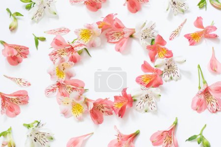 Foto de Alstroemeria flores sobre fondo blanco - Imagen libre de derechos