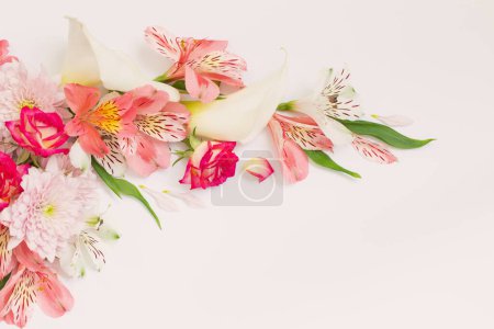 Photo for Alstroemeria flowers on white  background - Royalty Free Image