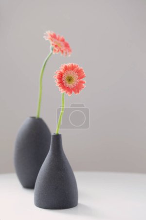 Photo for Pink gerber in gray vases on white table on background gray wall - Royalty Free Image