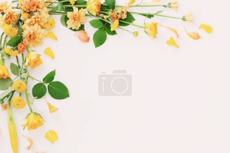Téléchargez les photos : Cadre de belles fleurs sur fond blanc - en image libre de droit