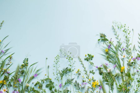 Foto de Hierba silvestre y flores sobre fondo de papel verde - Imagen libre de derechos