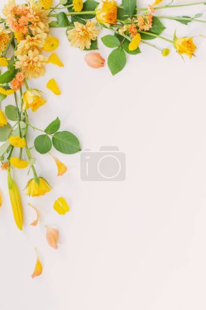 Foto de Marco de hermosas flores sobre fondo blanco - Imagen libre de derechos