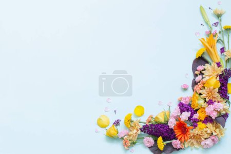 Téléchargez les photos : Belles fleurs d'été sur fond bleu - en image libre de droit