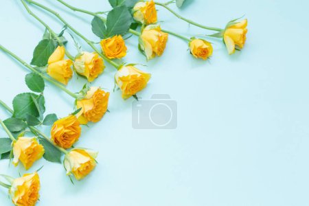 Téléchargez les photos : Roses jaunes sur fond de papier vert - en image libre de droit