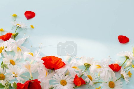 Téléchargez les photos : Fleurs d'été sous la lumière du soleil sur fond bleu - en image libre de droit